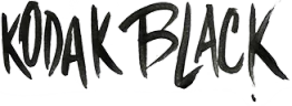 Partner logo 3